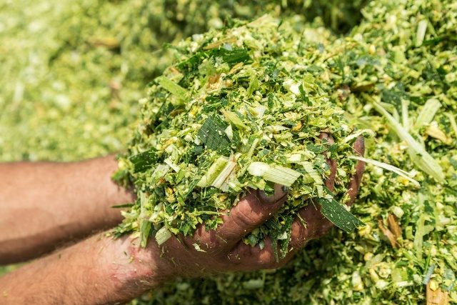 Ganadería vacuna de Agro Franpabel